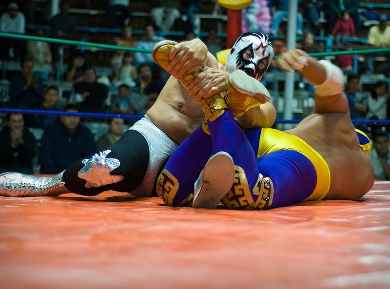 wikiwrestlersonmat.jpg
